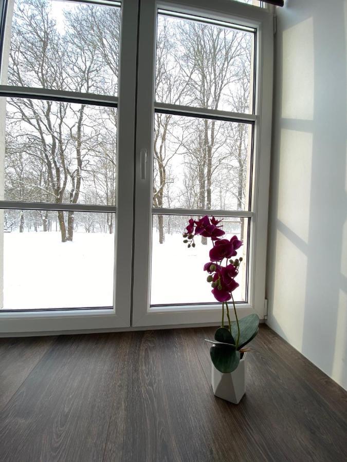 Vabriku 6 Apartment With Sauna Rakvere Buitenkant foto